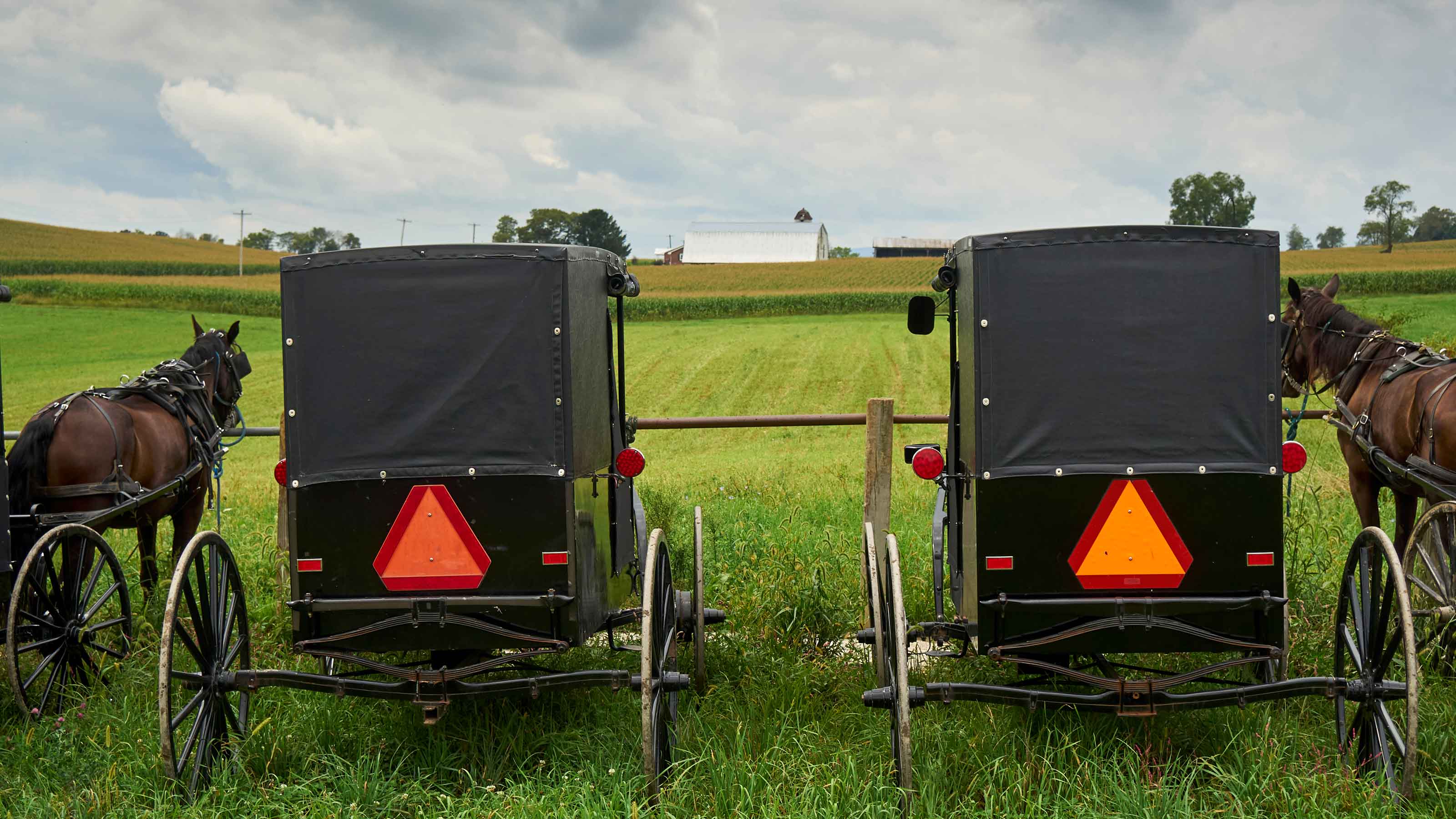   image from mifflintown