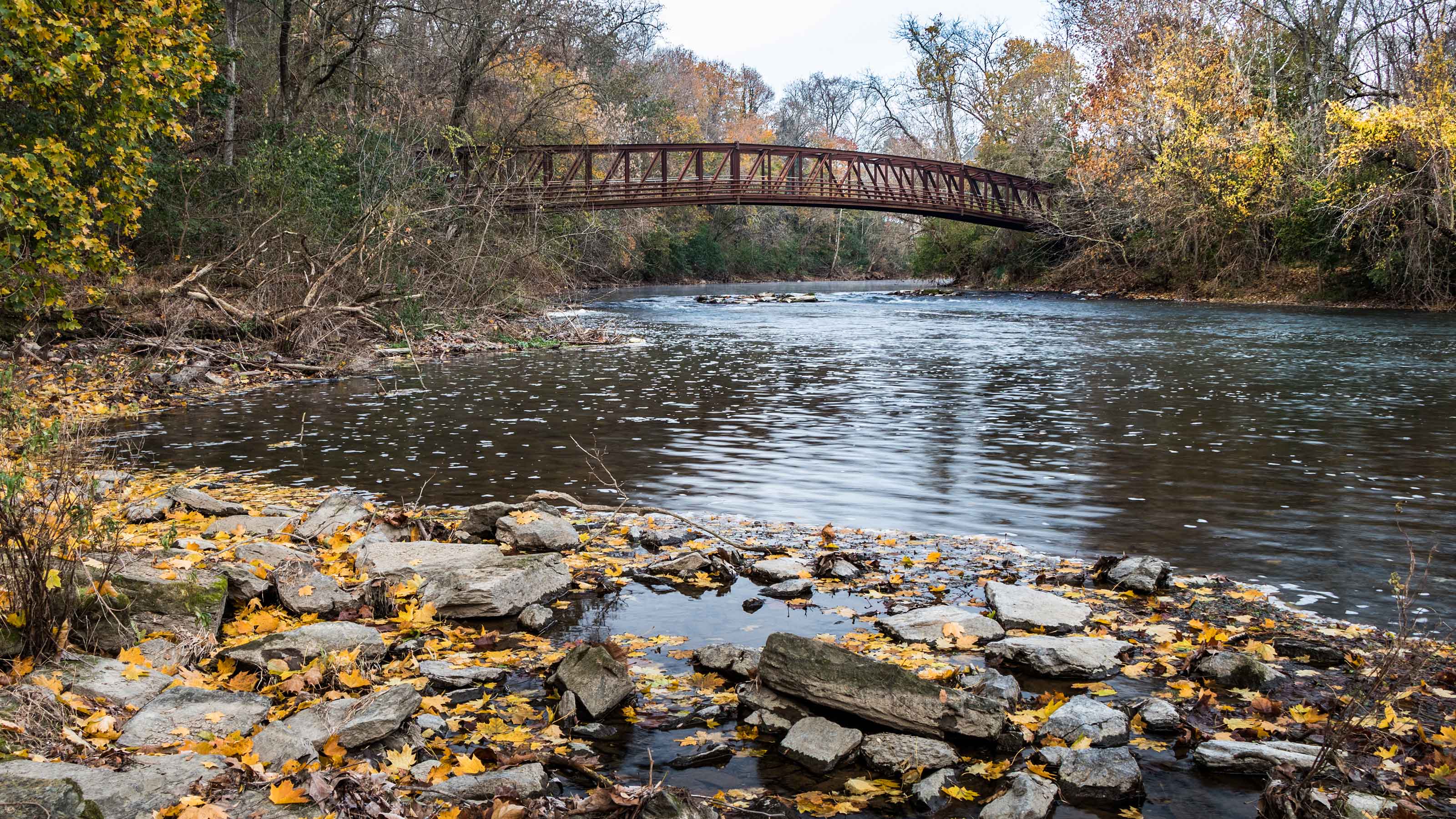   bridge on a river from womelsdorf