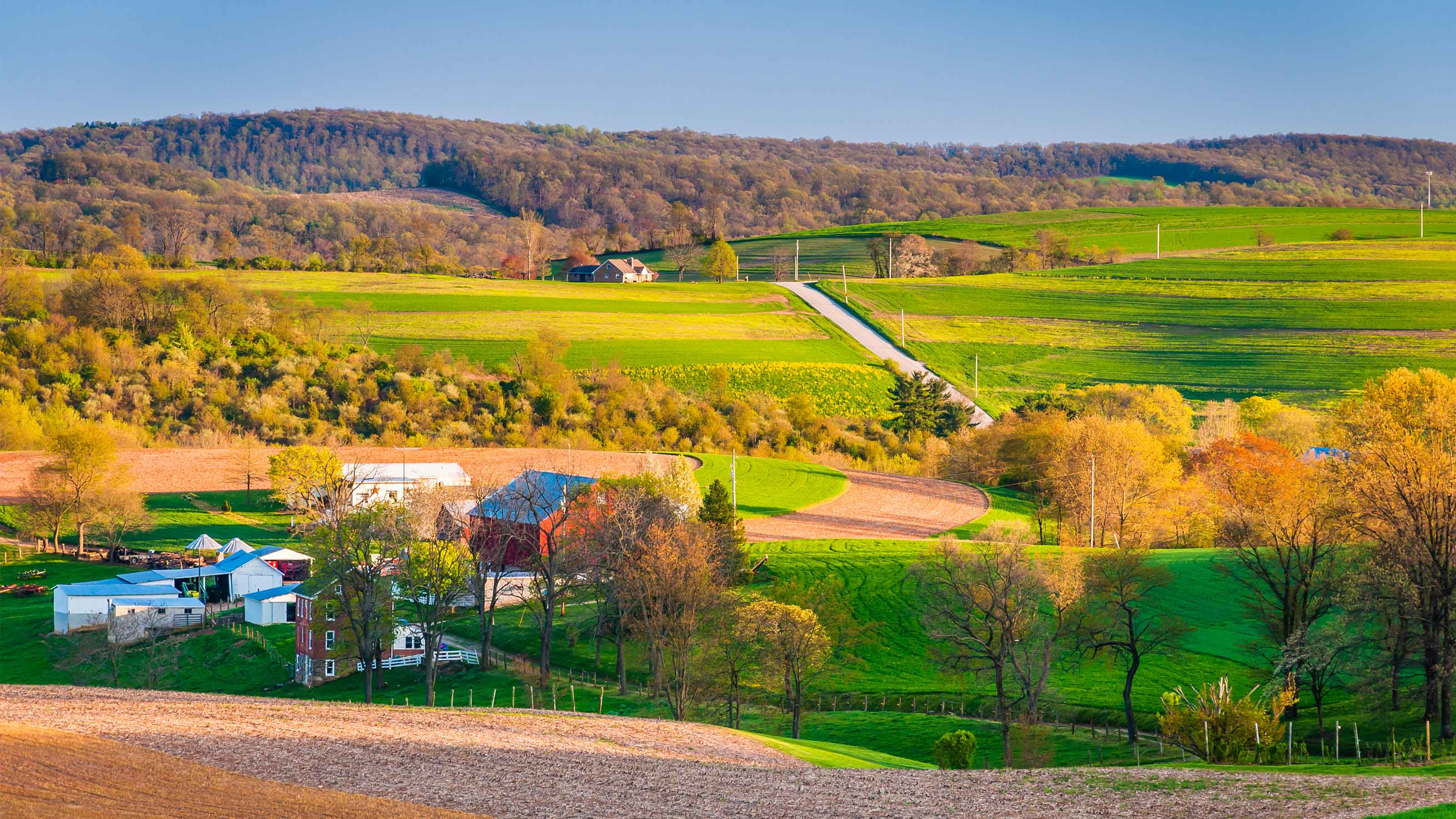 view from york-springs
