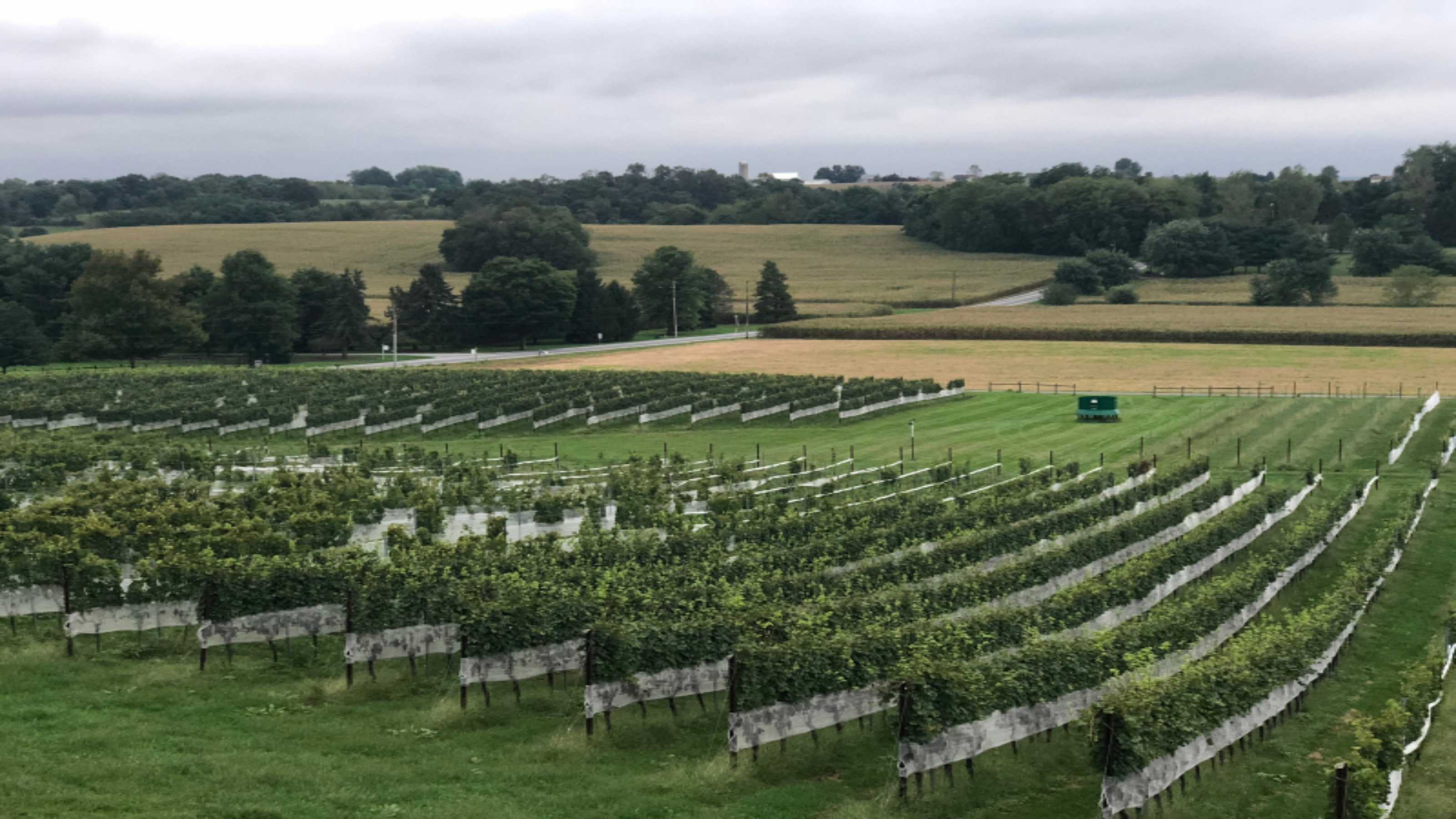   image from mount-joy