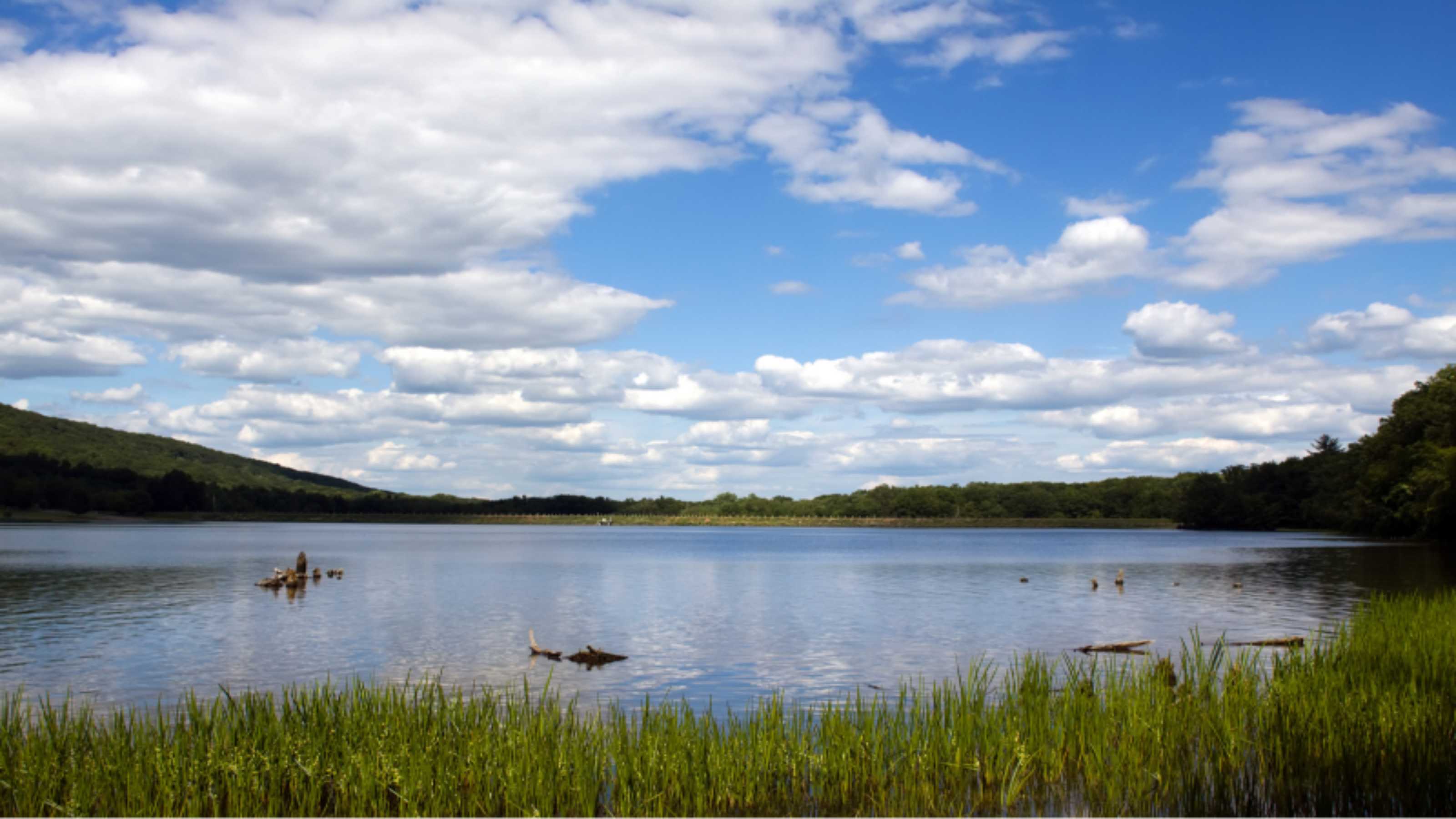   image from orwigsburg