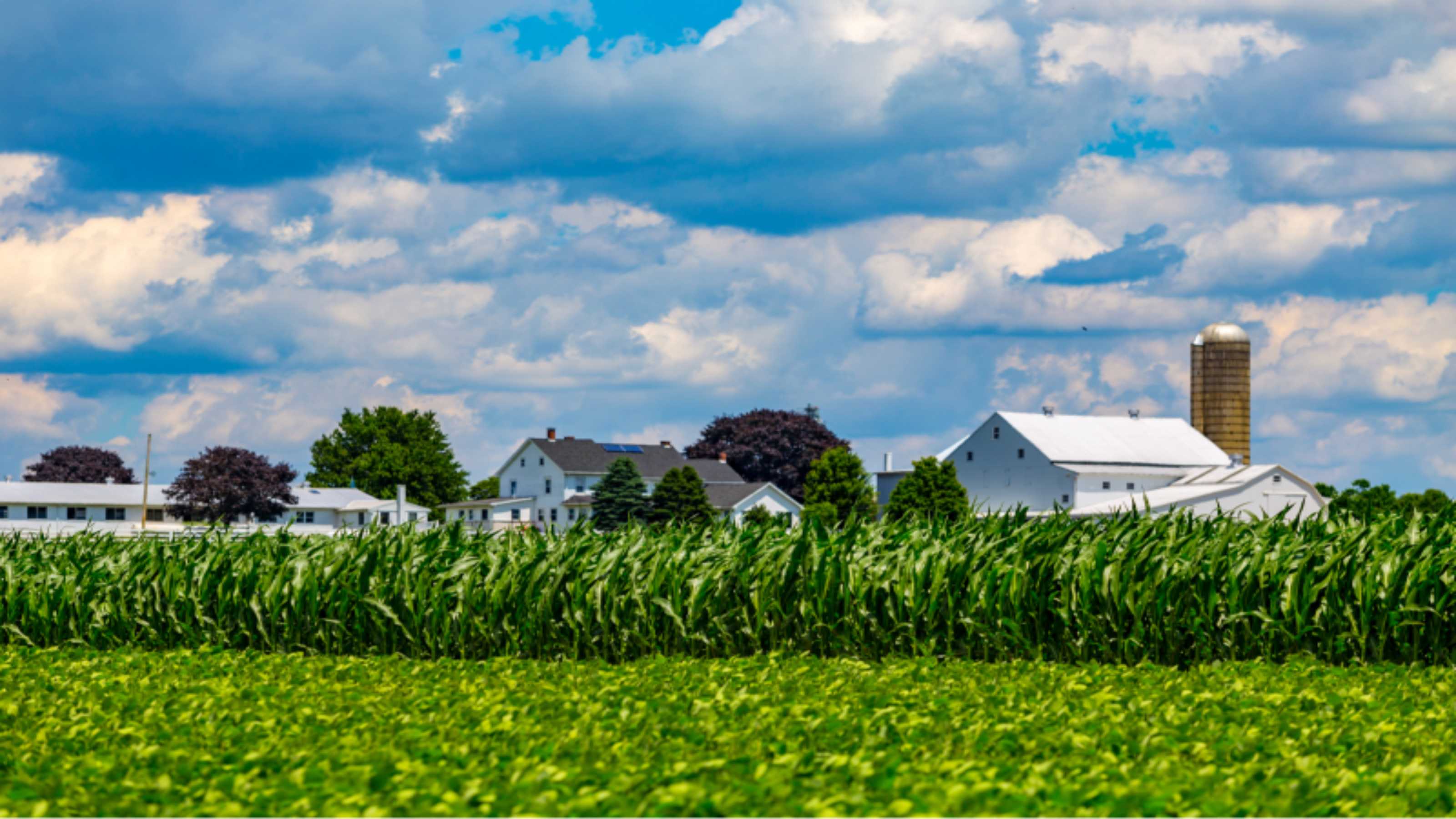   image from quarryville